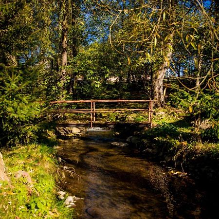 Medvebocs Vendeghazak Villa Sicasău Exterior foto