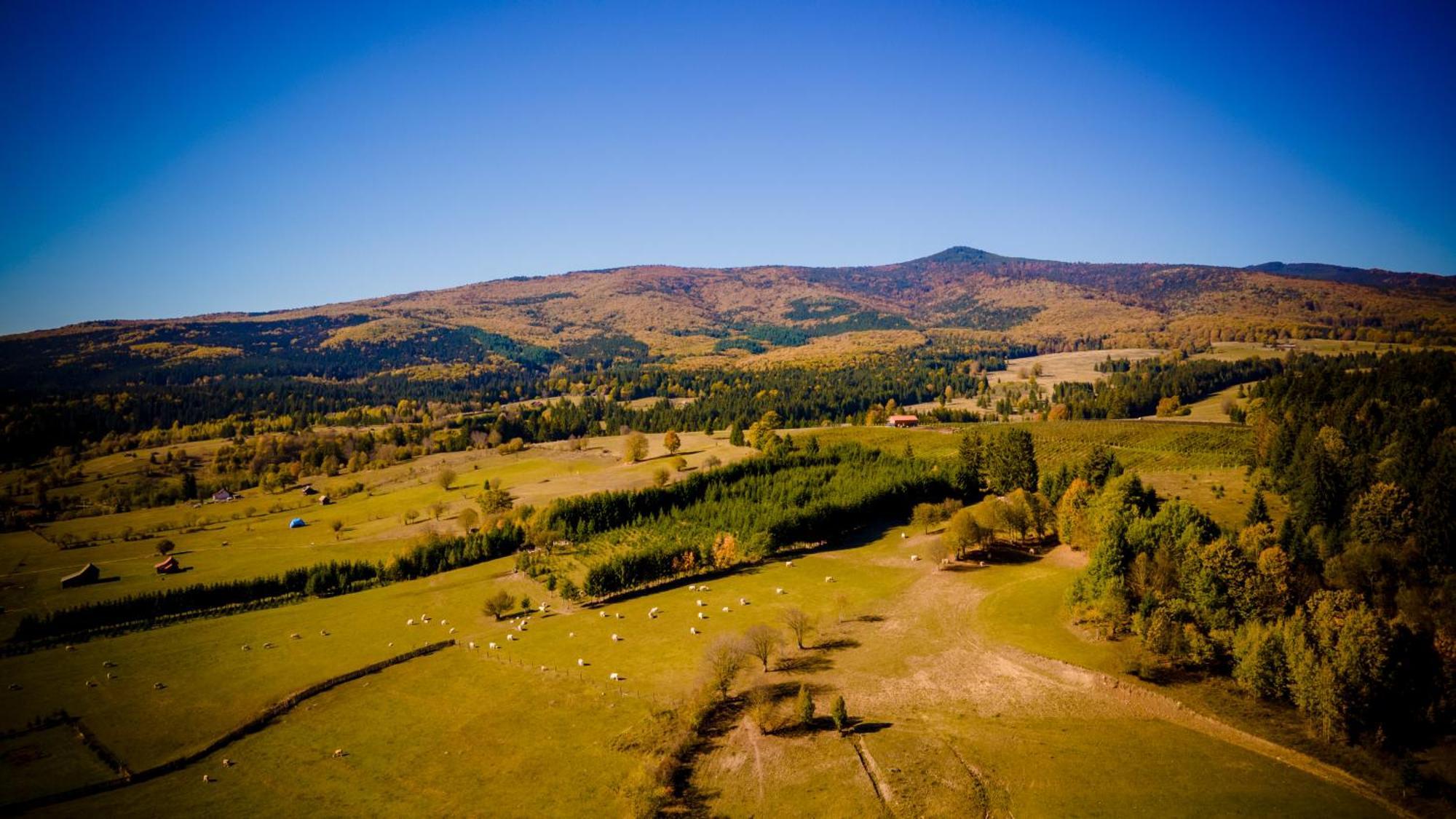Medvebocs Vendeghazak Villa Sicasău Exterior foto